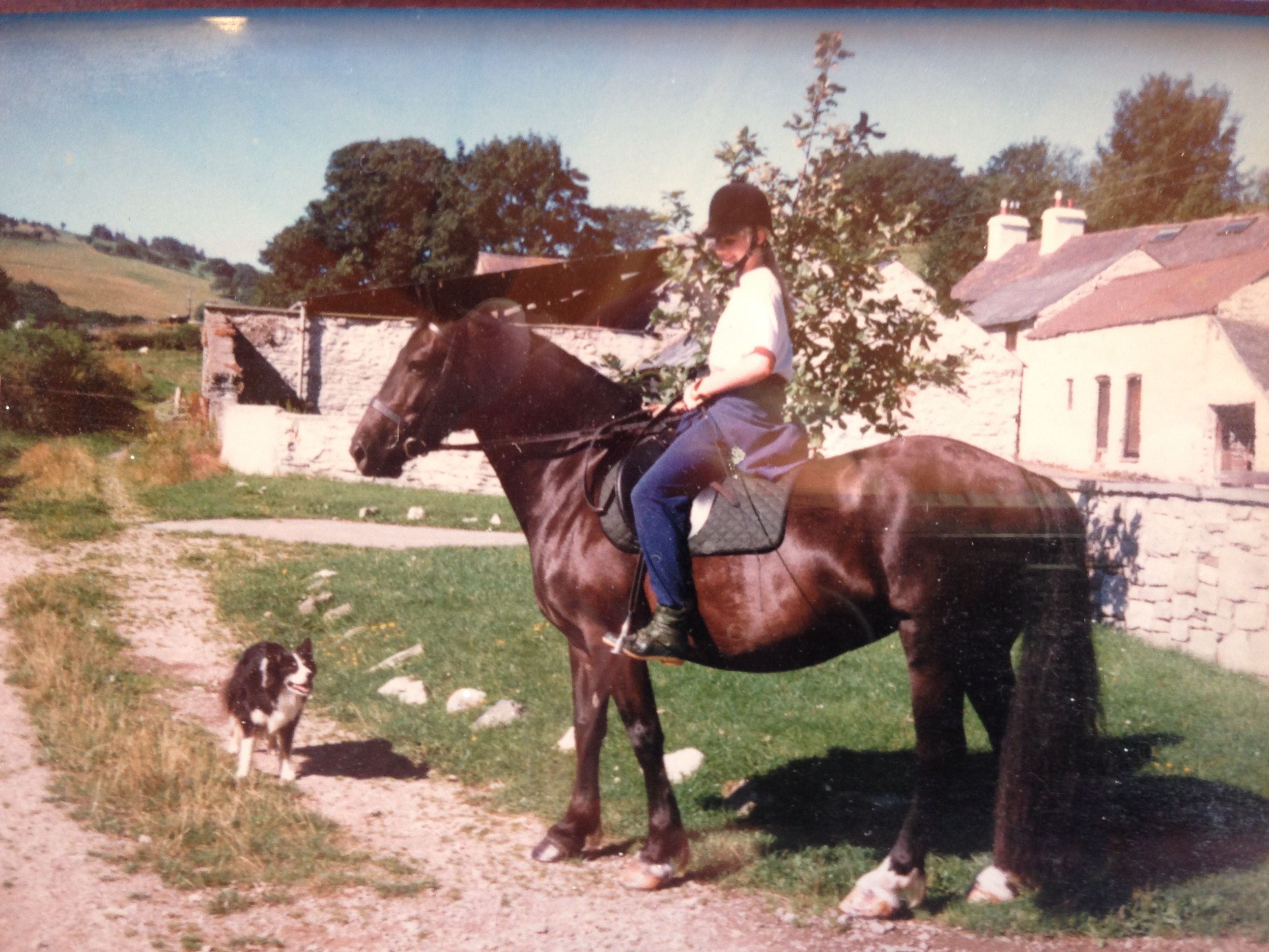 Getting back on the horse