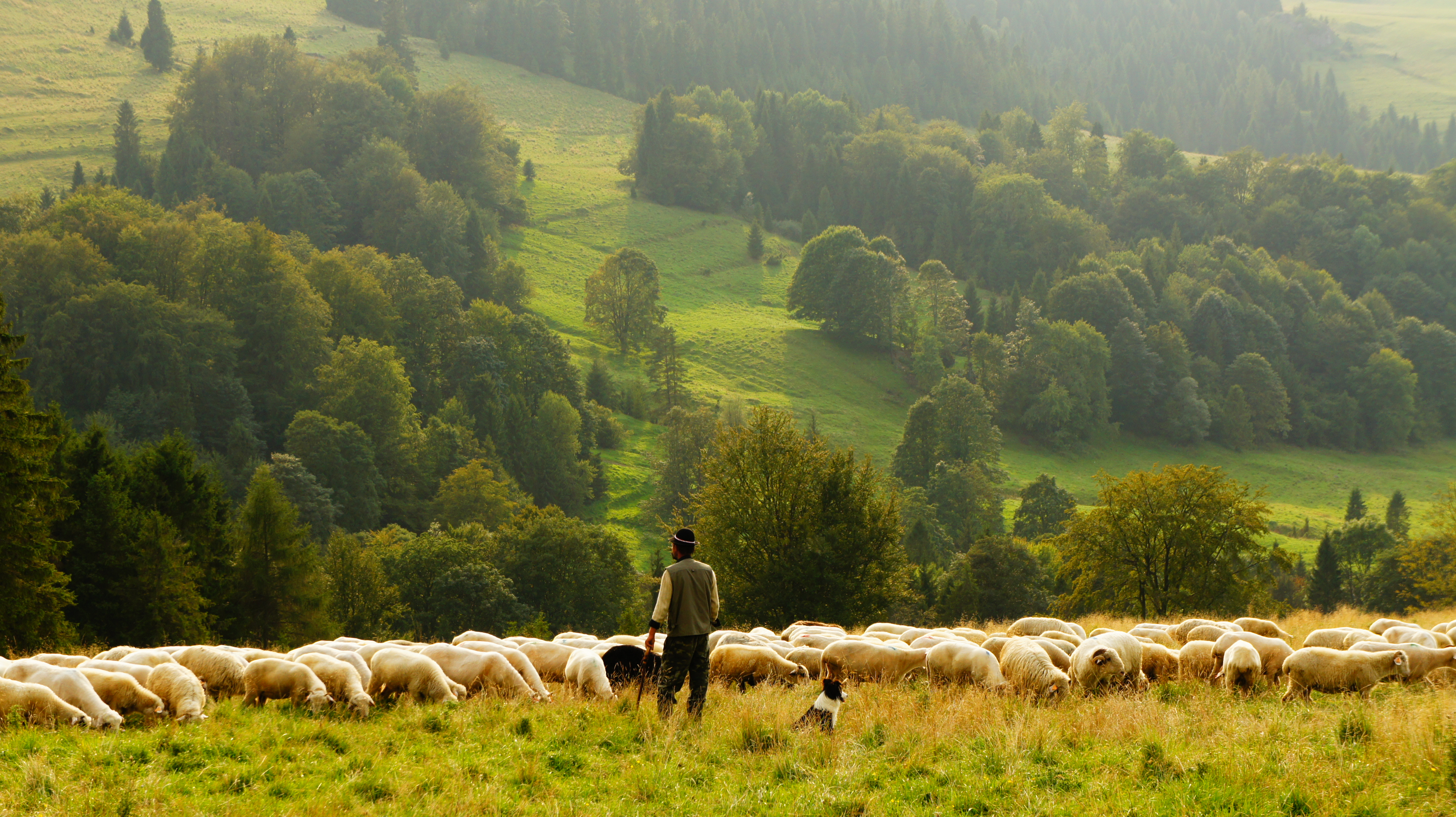 The allure of minimalist living