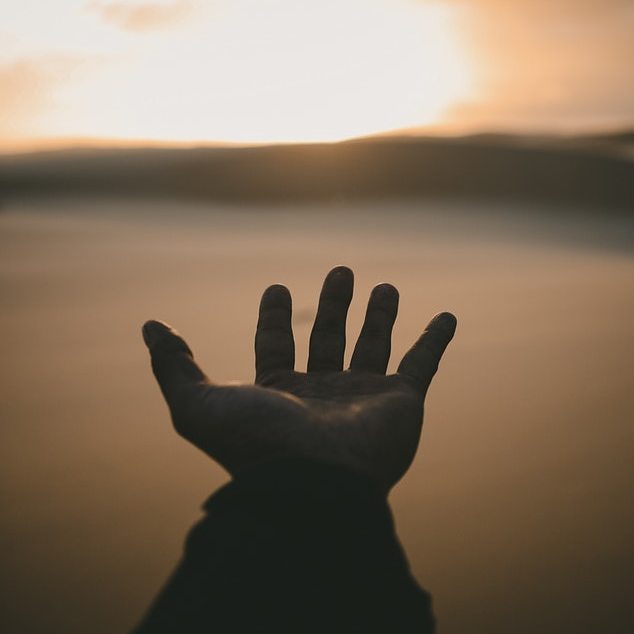 Freedom and Kindness