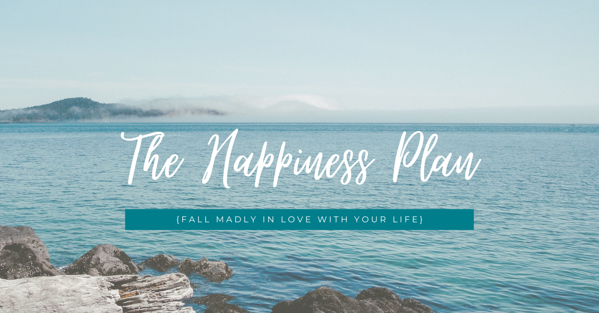 The Happiness Plan