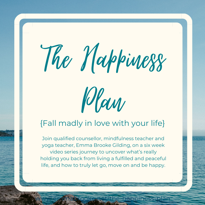 The Happiness Plan