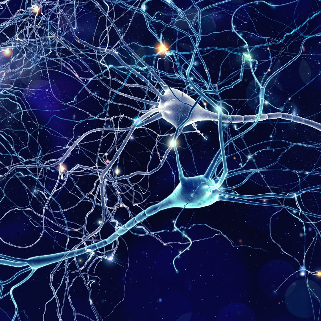 Reticular Activating System